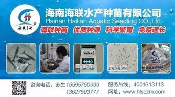 行情高漲激發(fā)養(yǎng)戶熱情，淡水魚(yú)功能料時(shí)代 超越噱頭的技術(shù)深耕與價(jià)值回歸